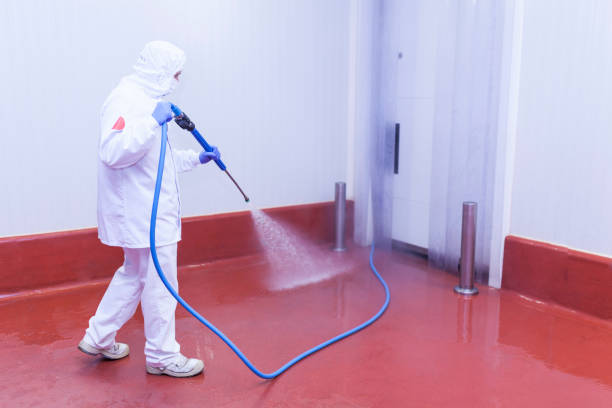 Best Paint Preparation  in Hooks, TX