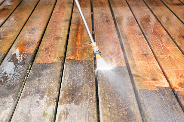 Animal Enclosure Cleaning in Hooks, TX